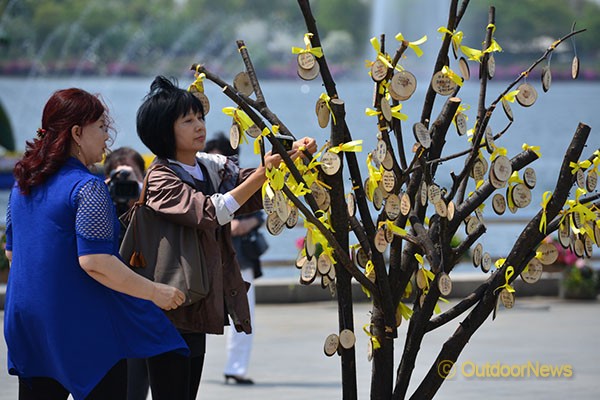 2014 고양국제꽃박람회 전시장에도 세월호 참사 희생자들을 위한 애도 물결이 이어지고 있다. 전시장 중앙에 마련된 희망나무에 세월호 참사 희생자를 애도하는 글과 함께 노란 리본을 매다는 관람객.