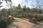 인제 한계초등학교, 최우수 학교숲에 뽑혀