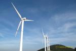 생태자연도 1등급지에 풍력발전 개발 허용된다