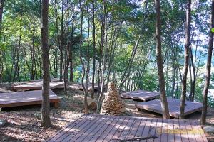 숲속야영장 설치 기준 완화…캠핑산업 활성화 기대