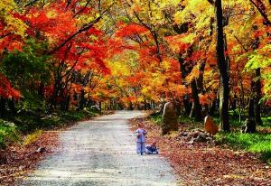 가을이 찾아온 걷기 좋은 길